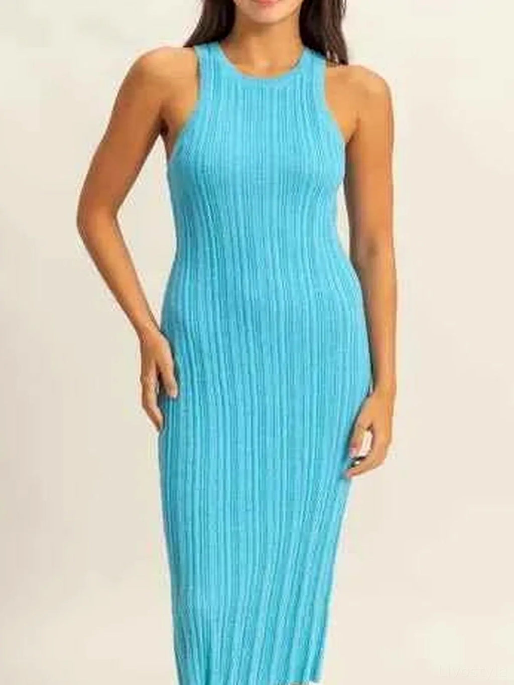 Round Neck Bodycon Ribbed Knit Dress in BLUE